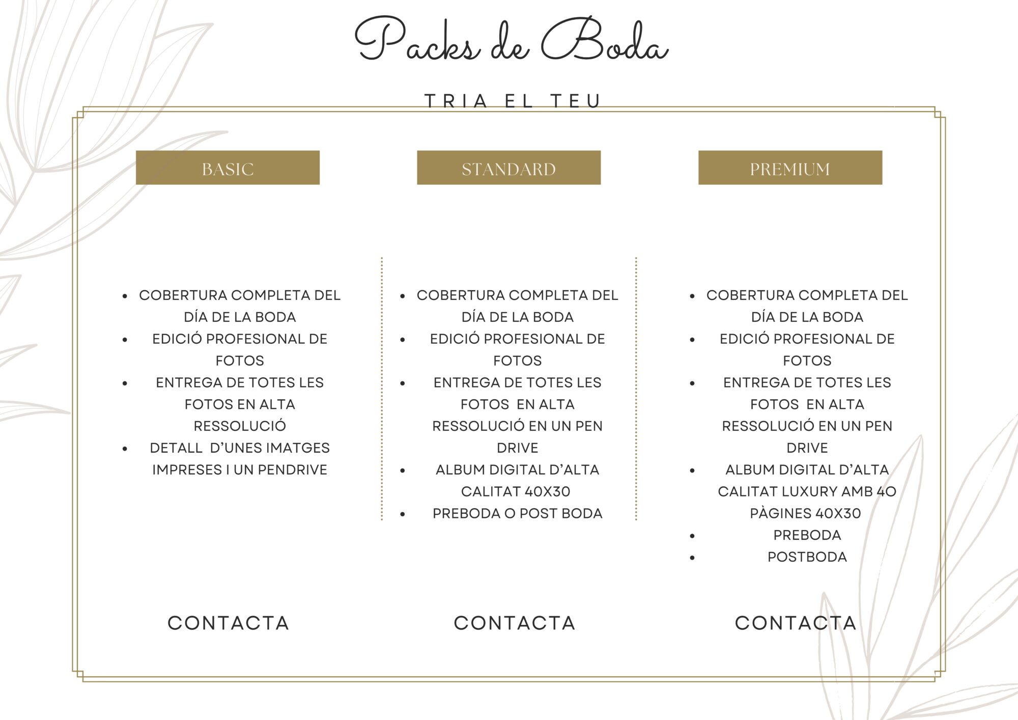 packs boda ernesto giner