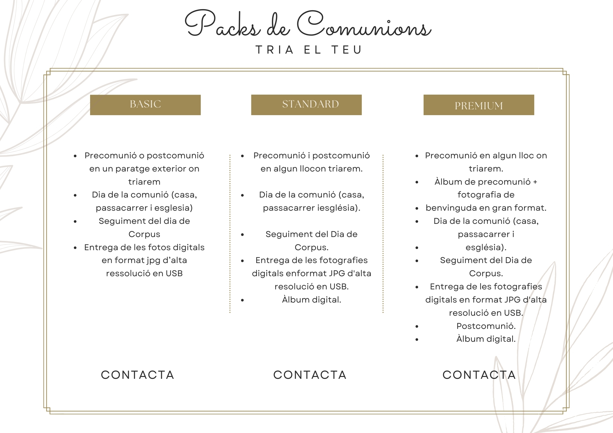 packs comuniones albaida fotos
