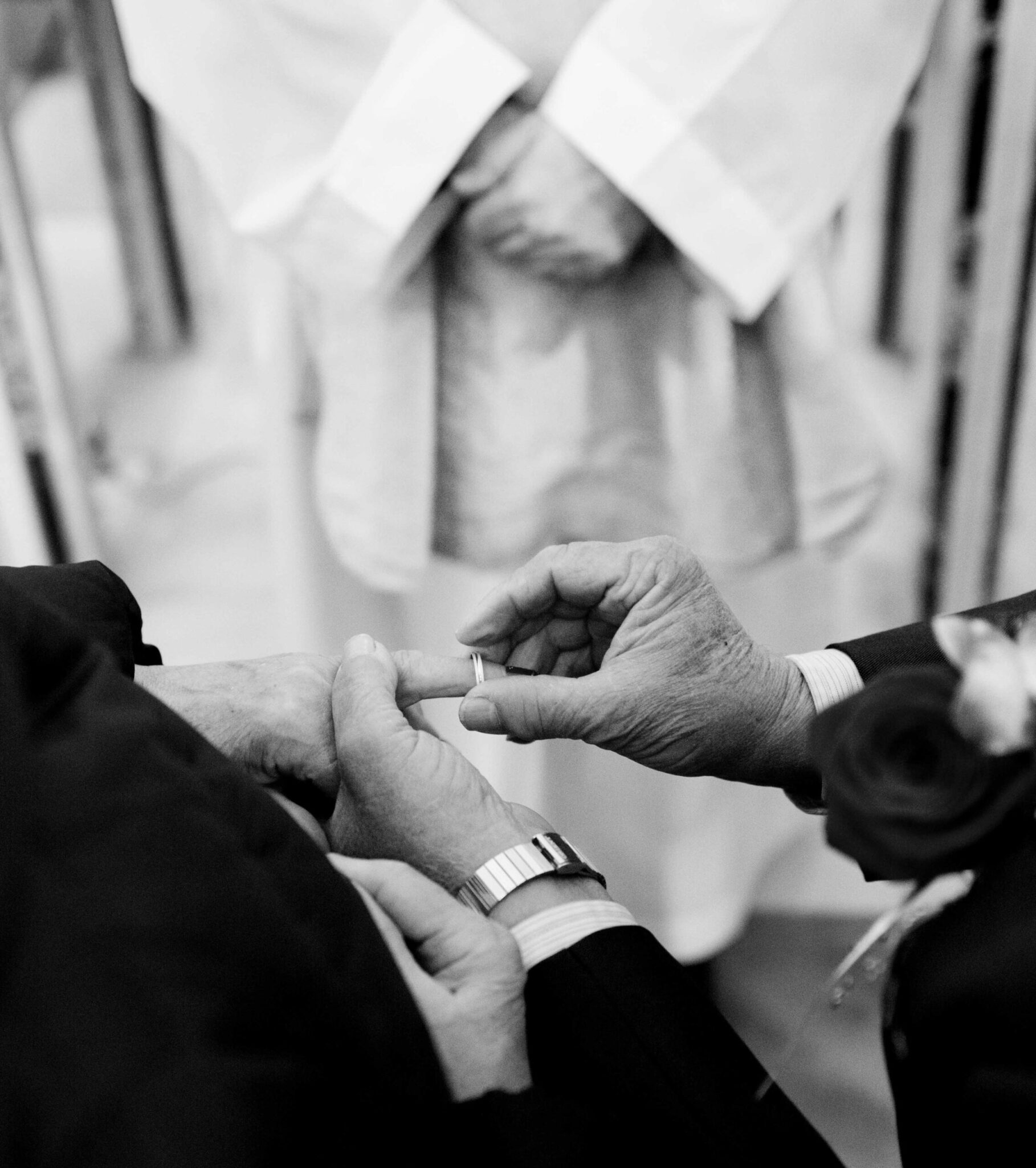 anillos, compromiso y fidelidad